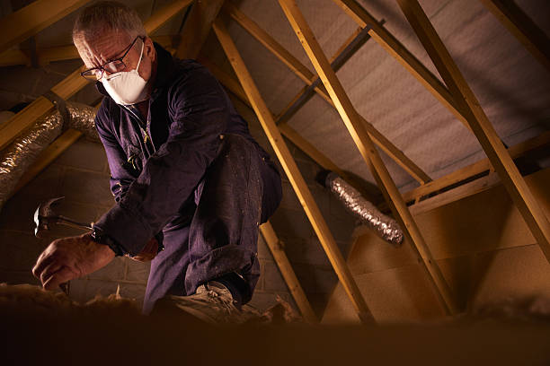 Best Specialty Insulation in Chesapeake Ranch Estates, MD